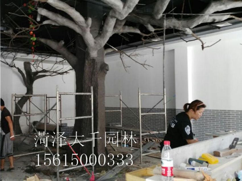 點擊查看詳細信息<br>標題：假樹 閱讀次數：1265