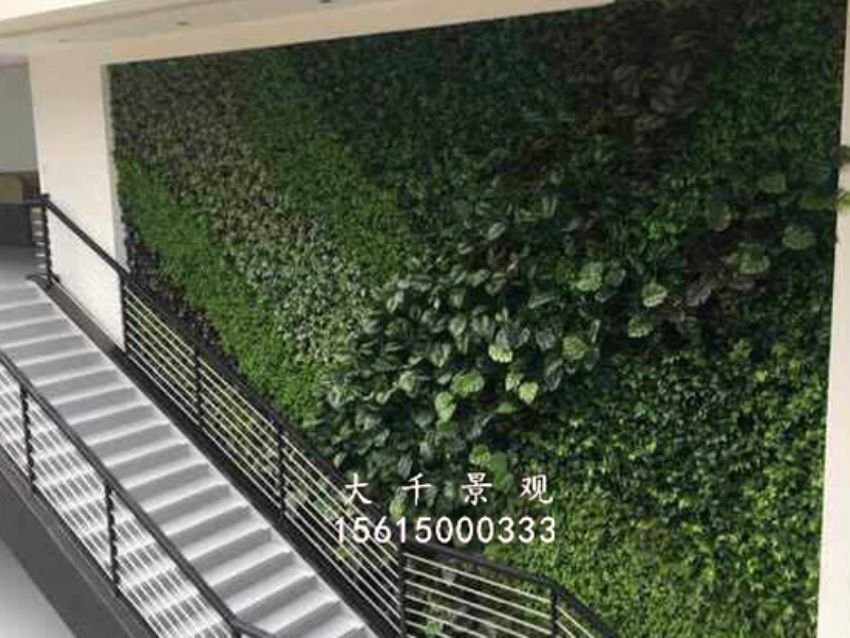 點擊查看詳細信息<br>標題：綠植墻 閱讀次數：1474