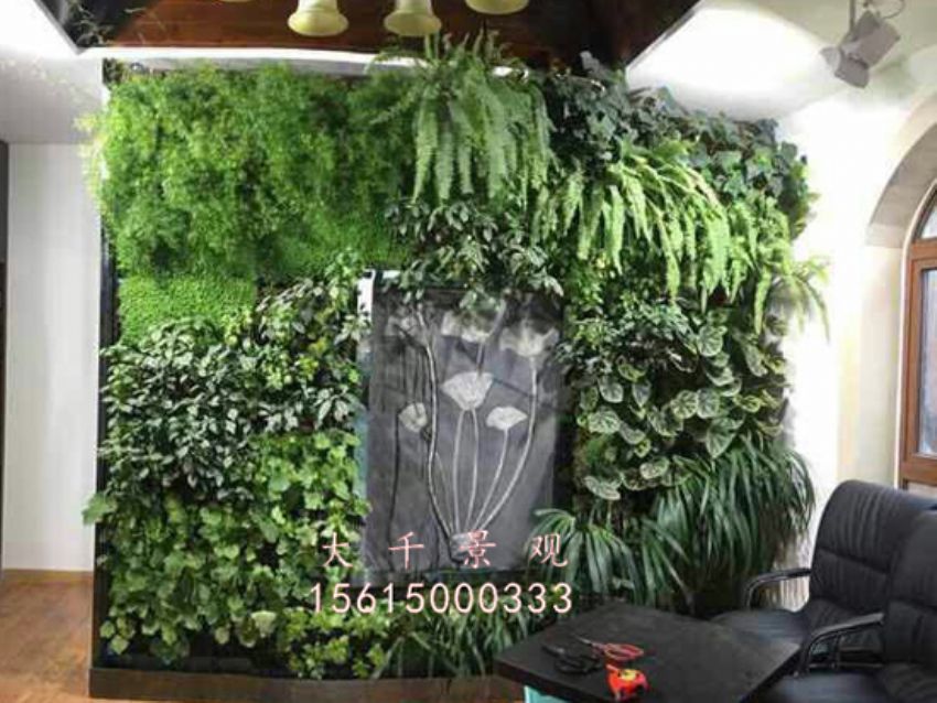 點擊查看詳細信息<br>標題：綠植墻 閱讀次數：1509