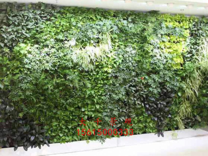 點擊查看詳細信息<br>標題：綠植墻 閱讀次數：2162